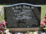 image of grave number 716946